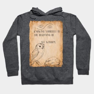 Wisdom Seeker - with Ancient Vibes! Hoodie